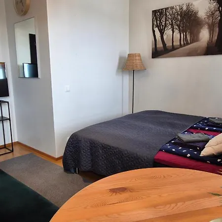 Apartment Saunallinen Yksioe Keskustan Laehellae / With Sauna Oulu