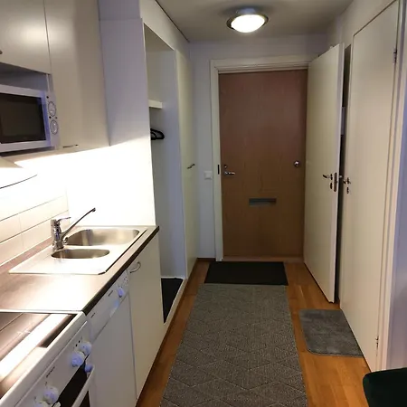 Saunallinen Yksioe Keskustan Laehellae / With Sauna