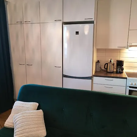 Διαμέρισμα Saunallinen Yksioe Keskustan Laehellae / With Sauna *